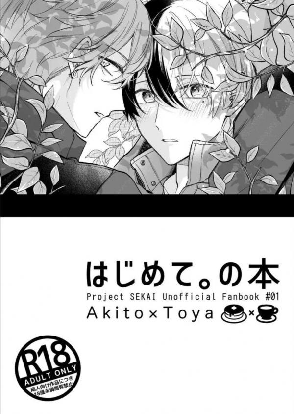 Project Sekai Dj Hajimete. no hon (Akito Shinonome x Toya Aoyagi)